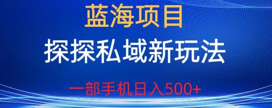 【副业项目6894期】蓝海项目，探探私域新玩法，一部手机日入500+很轻松【揭秘】-盈途副业网