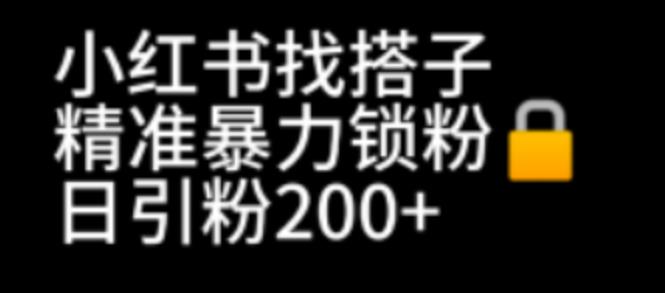 【副业项目7040期】小红书找搭子暴力精准锁粉+引流日引200+精准粉-盈途副业网