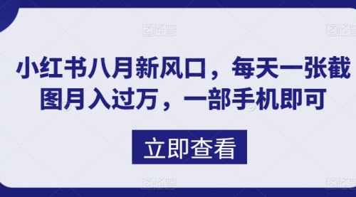 【副业项目7078期】八月新风口，小红书虚拟项目一天收入1000+-盈途副业网