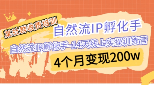 【副业项目7109期】自然流IP孵化手-14天线上实操训练营 4个月变现200w-盈途副业网