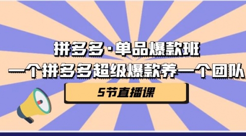 【副业项目第7171期】拼多多·单品爆款班，一个拼多多超级爆款养一个团队-盈途副业网