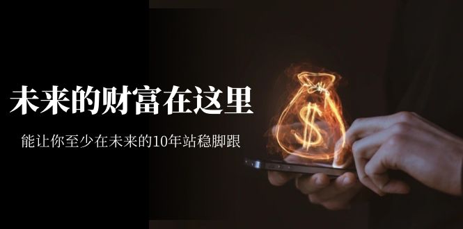 【副业项目7298期】某收费文章《未来的财富在这里》能让你至少在未来的10年站稳脚跟-盈途副业网