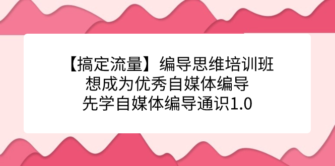 【副业项目7456期】编导思维培训班，想成为优秀自媒体编导先学自媒体编导通识1.0-盈途副业网