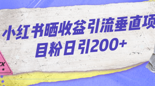 【副业项目7194期】小红书晒收益图引流垂直项目粉日引200+-盈途副业网