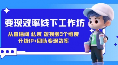 【副业项目7241期】变现-效率线下工作坊，从直播间、私域、短视频3个维度 升级IP+团队变现效率-盈途副业网