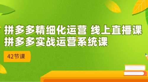 【副业项目7292期】2023年新课-拼多多精细化运营-盈途副业网