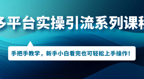 【副业项目7293期】多平台实操引流系列课程，手把手教学，新手小白看完也可轻松上手引流操作！-盈途副业网