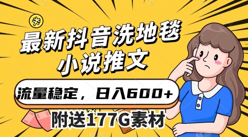 【副业项目7638期】最新抖音洗地毯小说推文，流量稳定，一天收入600（附177G素材）-盈途副业网