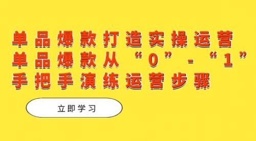 【副业项目7711期】单品爆款打造实操运营，单品爆款从“0”-“1”手把手演练运营步骤-盈途副业网