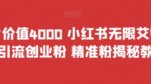 【副业项目7956期】价值4000 小红书无限艾特暴力引流创业粉 精准粉揭秘教程-盈途副业网