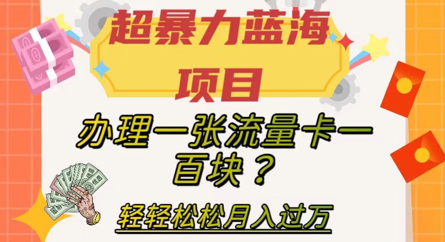 【副业项目8024期】超暴力蓝海项目，办理一张流量卡一百块？轻轻松松月入过万，保姆级教程【揭秘】-盈途副业网