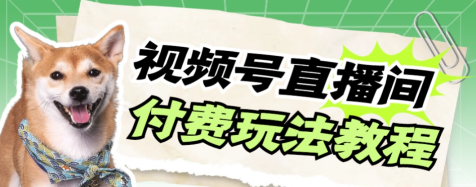 【副业项目7973期】视频号美女付费无人直播，轻松日入500+-盈途副业网