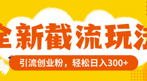 【副业项目8262期】全新截流玩法，精准引流创业粉，轻松日入300+-盈途副业网