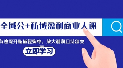 【副业项目8291期】全域公+私域盈利商业大课，有效提升私域复购率，放大利润且持续变现-盈途副业网