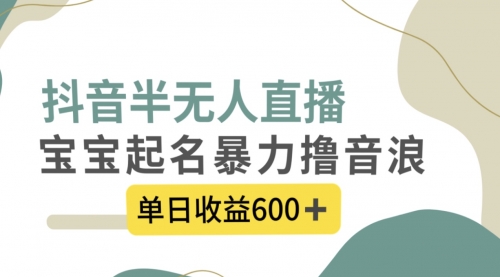 【副业项目8385期】抖音半无人直播，宝宝起名，暴力撸音浪，单日收益600+-盈途副业网