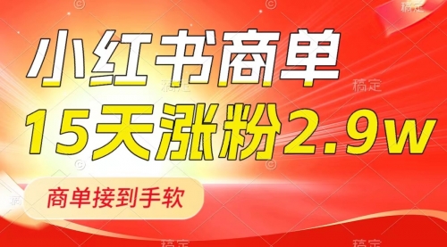 【副业项目8480期】小红书商单最新玩法，新号15天2.9w粉，接单到手软-盈途副业网