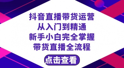 【副业项目8483期】抖音直播带货 运营从入门到精通，新手完全掌握带货直播全流程（23节-盈途副业网