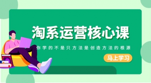 【副业项目8556期】淘系-运营核心课，你学的不是只方法是创造方法的根源-盈途副业网