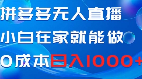 【副业项目8603期】拼多多无人直播，小白在家就能做，0成本日入1000+-盈途副业网