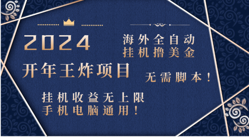 【副业项目8620期】2024海外撸美金项目！手机电脑均可-盈途副业网