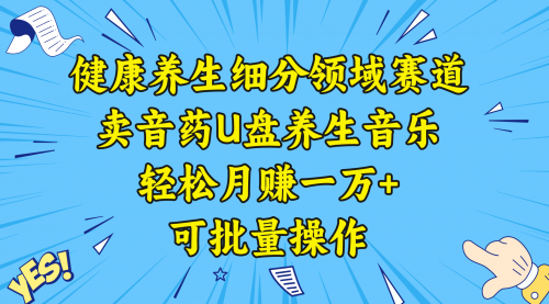 【副业项目8638期】健康养生细分领域赛道，卖音药U盘养生音乐，轻松月赚一万+，可批量操作-盈途副业网