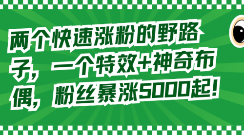 【副业8723期】两个快速涨粉的野路子，一个特效+神奇布偶，粉丝暴涨5000起！-盈途副业网