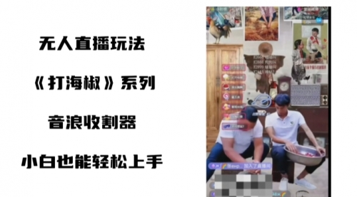 【副业8766期】打海椒无人直播整蛊项目，小白轻松上手撸音浪收割器（教程+工具+素材）-盈途副业网