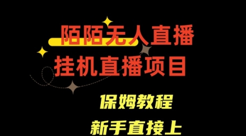 【副业8781期】陌陌无人直播，通道人数少，新手容易上手-盈途副业网
