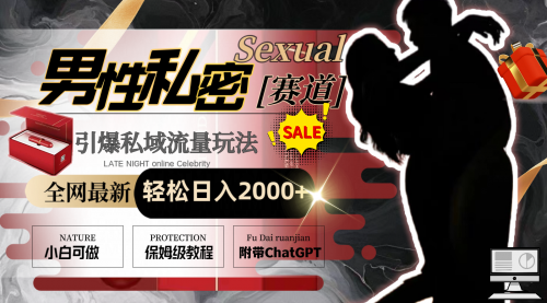 【副业8789期】全网最新男性私密赛道玩法，引爆私域流量，轻松日入2000+-盈途副业网