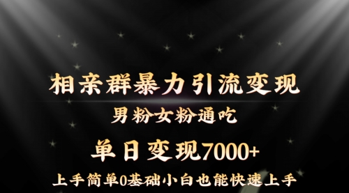 【副业8845期】相亲群暴力引流男粉女粉通吃变现玩法，单日变现7000+保姆教学1.0-盈途副业网