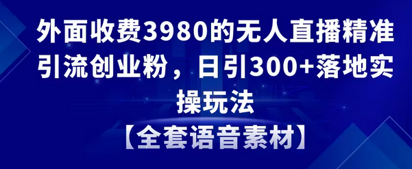 【副业8884期】无人直播精准引流创业粉，日引300+落地实操玩法【全套语音素材】-盈途副业网