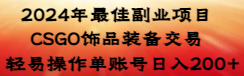 【副业8982期】2024年最佳副业项目 CSGO饰品装备交易 轻易操作单账号日入200+-盈途副业网