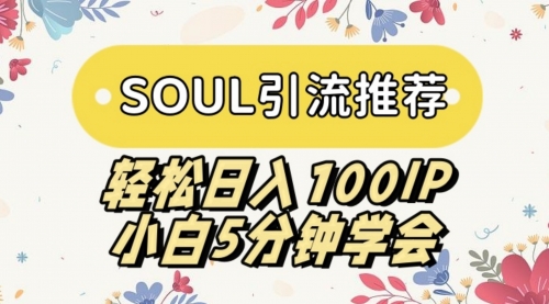 【副业9006期】SOUL引流推荐 轻松日入100IP 小白5分钟学会-盈途副业网