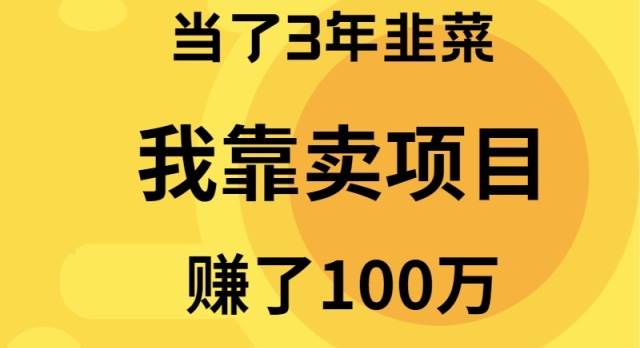 当了3年韭菜，我靠卖项目赚了100万-盈途副业网