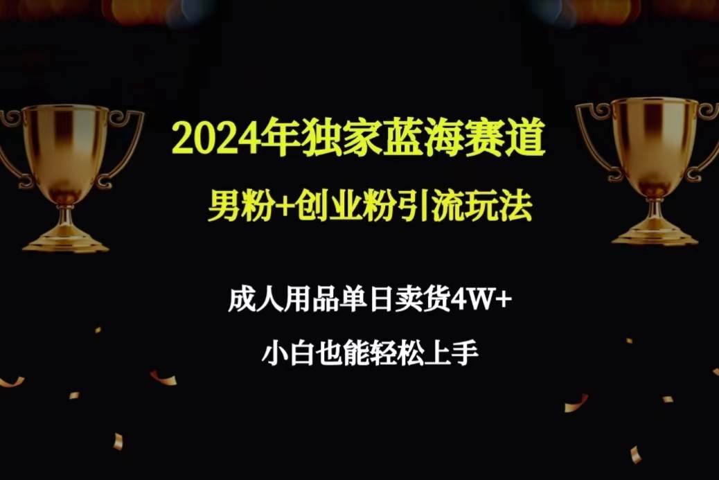 2024年独家蓝海赛道男粉+创业粉引流玩法，成人用品单日卖货4W+保姆教程-盈途副业网