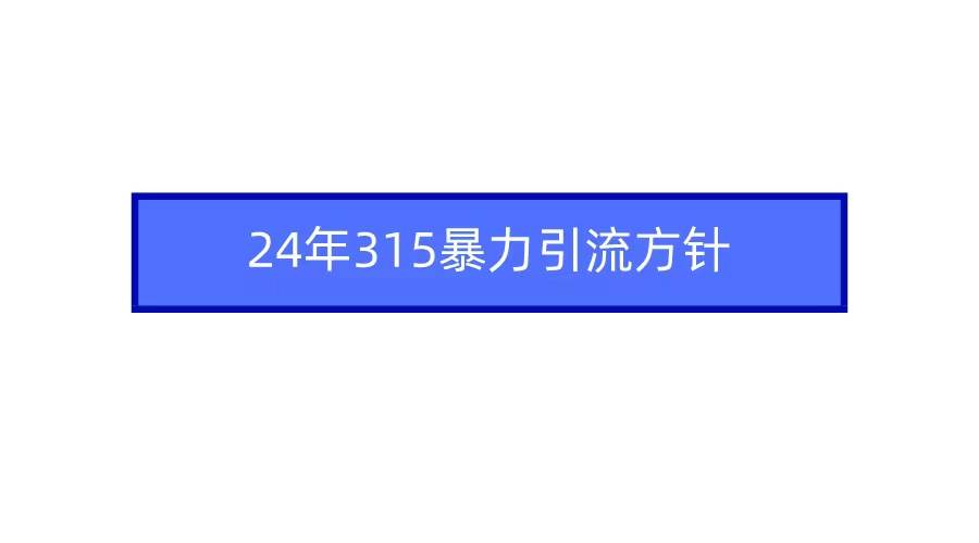 2024年315暴力引流方针-盈途副业网