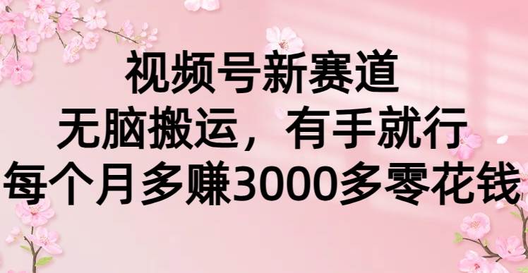 视频号新赛道，无脑搬运，有手就行，每个月多赚3000多零花钱-盈途副业网