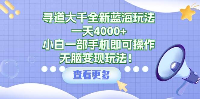寻道大千全新蓝海玩法，一天4000+，小白一部手机即可操作，无脑变现玩法！-盈途副业网