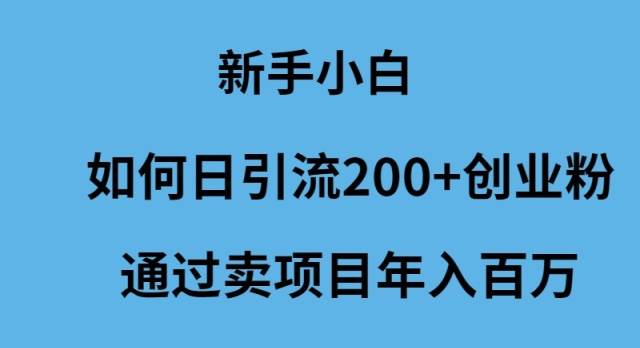 新手小白如何日引流200+创业粉通过卖项目年入百万-盈途副业网