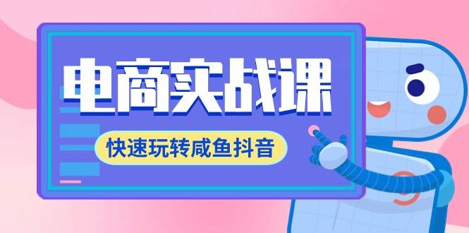 电商实战课，快速玩转咸鱼抖音，全体系全流程精细化咸鱼电商运营-71节课-盈途副业网