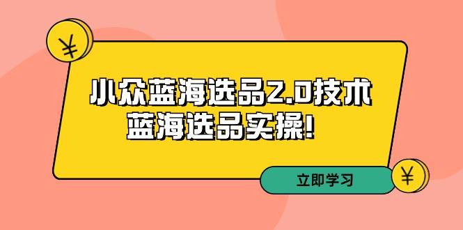 拼多多培训第33期：小众蓝海选品2.0技术-蓝海选品实操！-盈途副业网