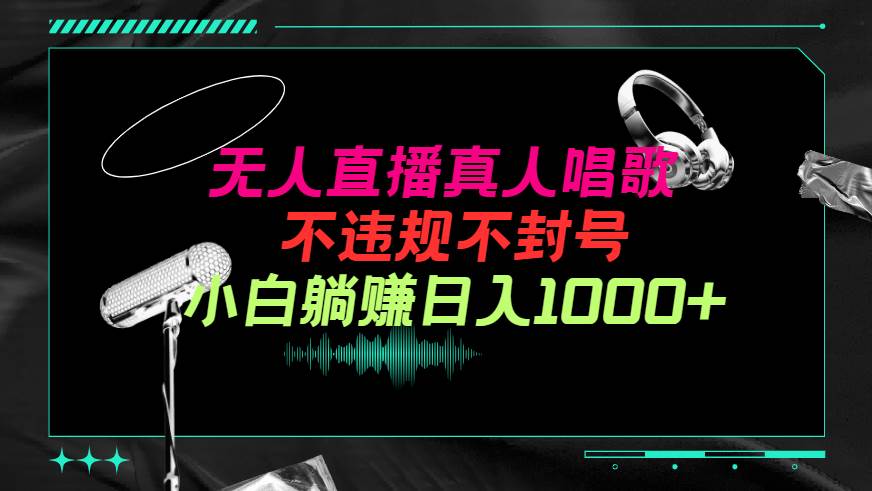 抖音24小时无人直播音乐，不违规，不封号纯撸音浪，小白实操当天日入1000+-盈途副业网