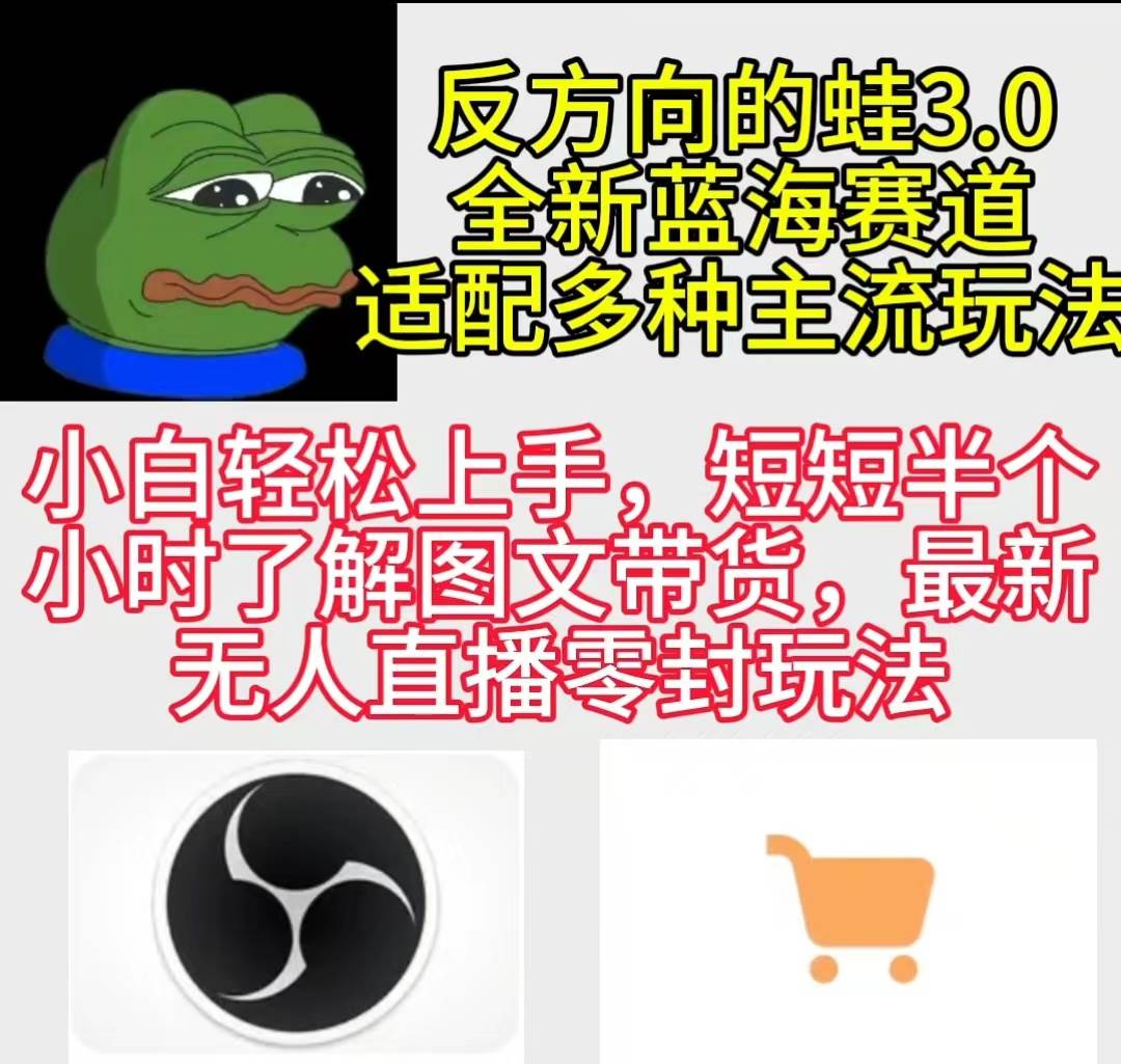 反方向的蛙3.0，图文最新玩法，变现多元化，新蓝海项目，小白轻松上手-盈途副业网