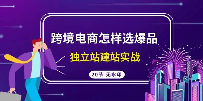 跨境电商怎样选爆品，独立站建站实战（20节高清无水印课）-盈途副业网