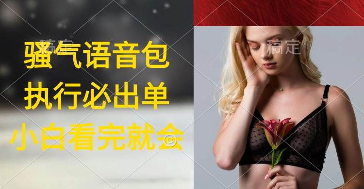 执行就出单，日入2000+，超火骚气语音包，小白看完课程就能马上实操-盈途副业网