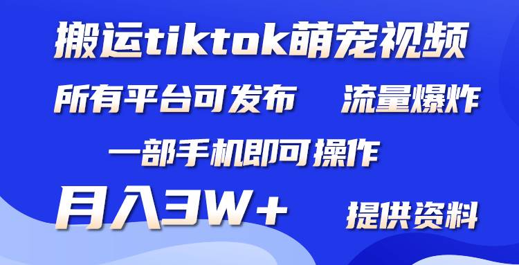 搬运Tiktok萌宠类视频，一部手机即可。所有短视频平台均可操作，月入3W+-盈途副业网