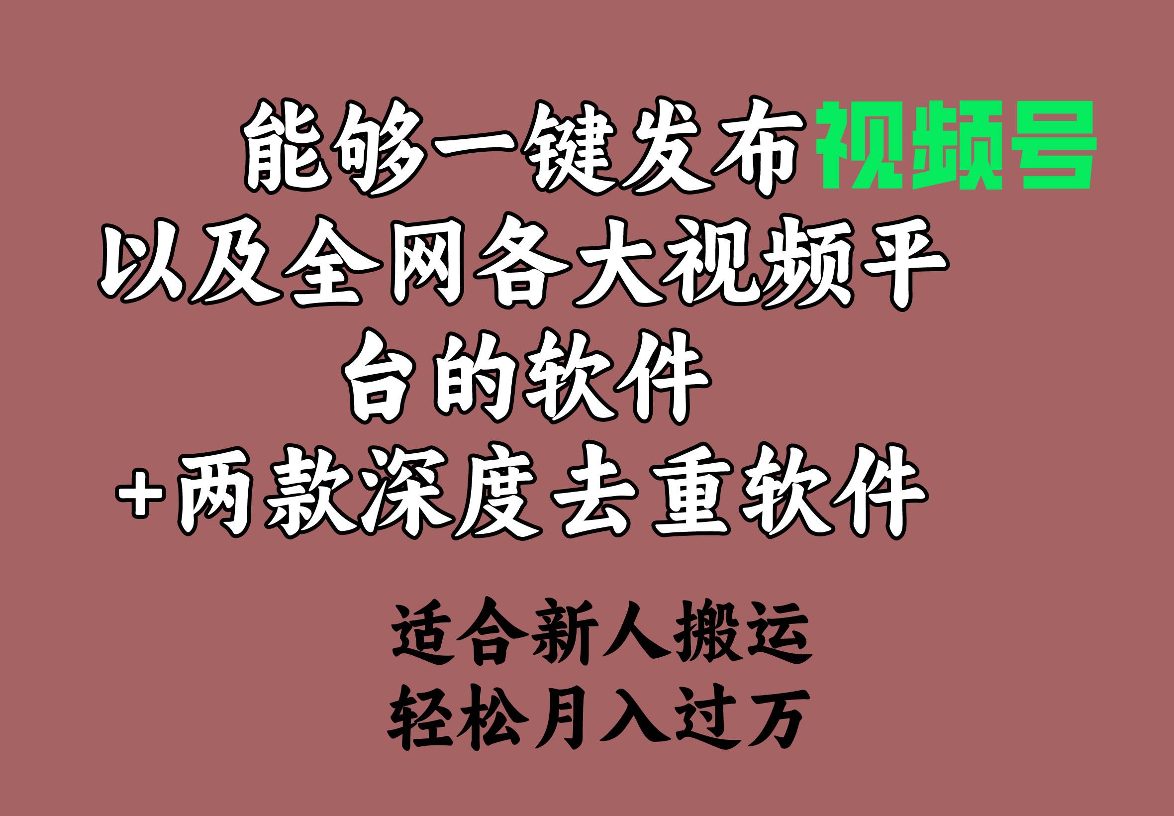 能够一键发布视频号以及全网各大视频平台的软件+两款深度去重软件 适合…-盈途副业网