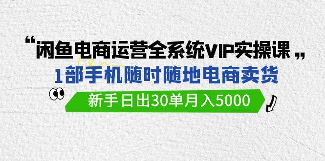 闲鱼电商运营全系统VIP实战课，1部手机随时随地卖货，新手日出30单月入5000-盈途副业网