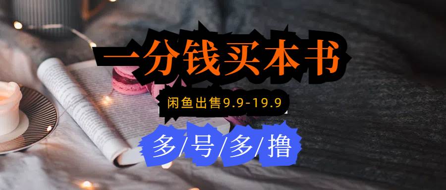 每天花1分钱买一本书，闲鱼出售9.9-19.9不等，多账号多撸 新手小白均可操作-盈途副业网