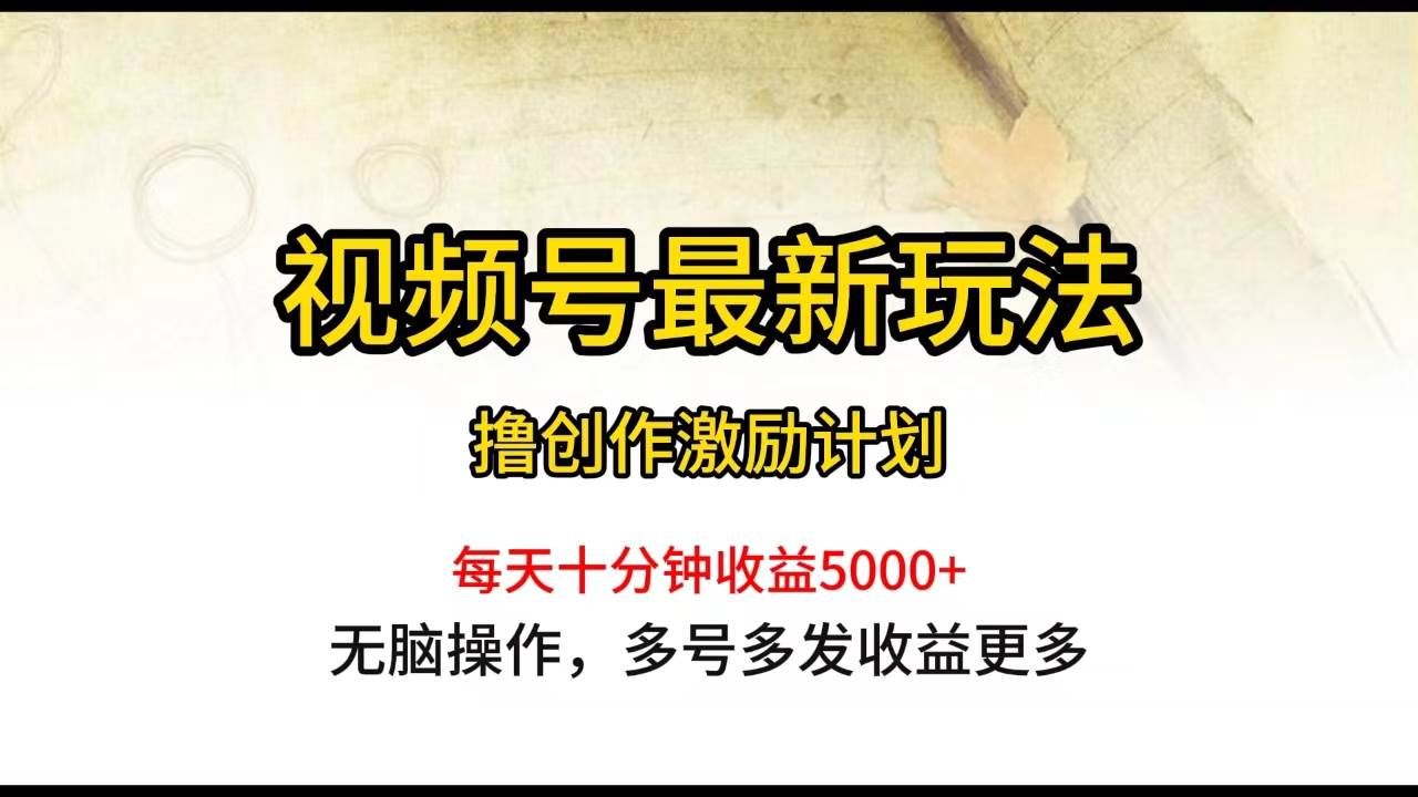 视频号最新玩法，每日一小时月入5000+-盈途副业网